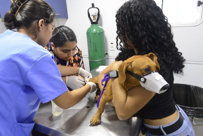 Castramóvel no loteamento Parque Anne