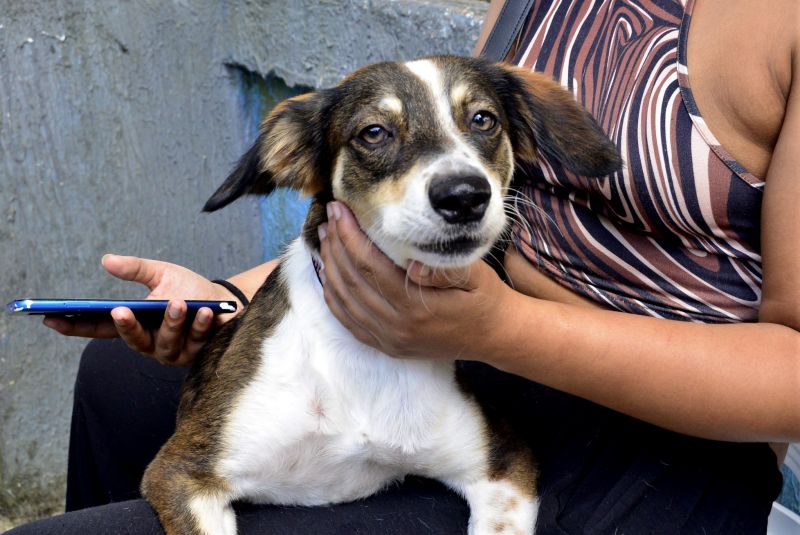 Castramóvel no loteamento Parque Anne