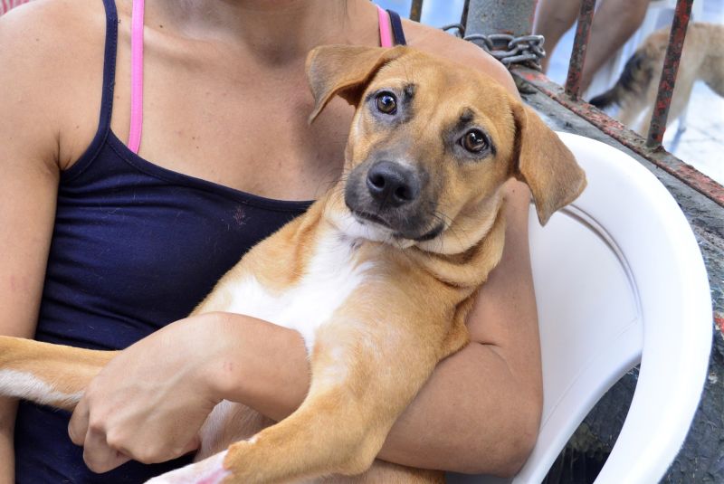 Castramóvel no loteamento Parque Anne