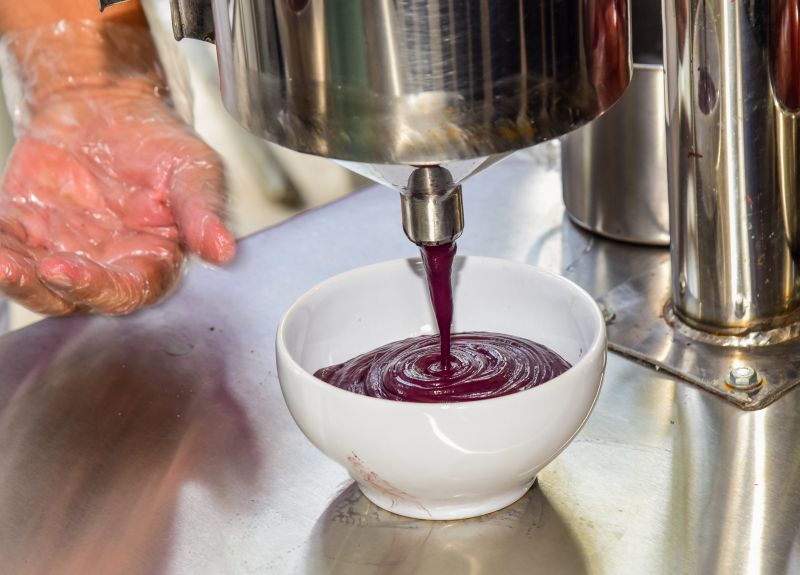 1º Festival do Açaí em Ananindeua e entrega de equipamentos para os batedores de açaí no complexo da Cidade Nova VIII