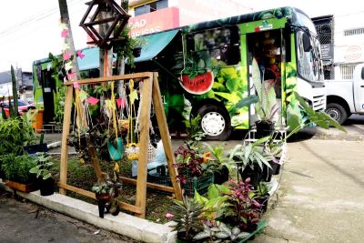galeria: Primeiro Arraiá Junino do Varejão Móvel no Complexo da Cidade Nova VIII