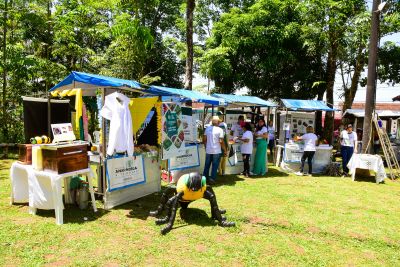 notícia: Primeira Expo Agro de Ananindeua reúne segmentos agrícolas