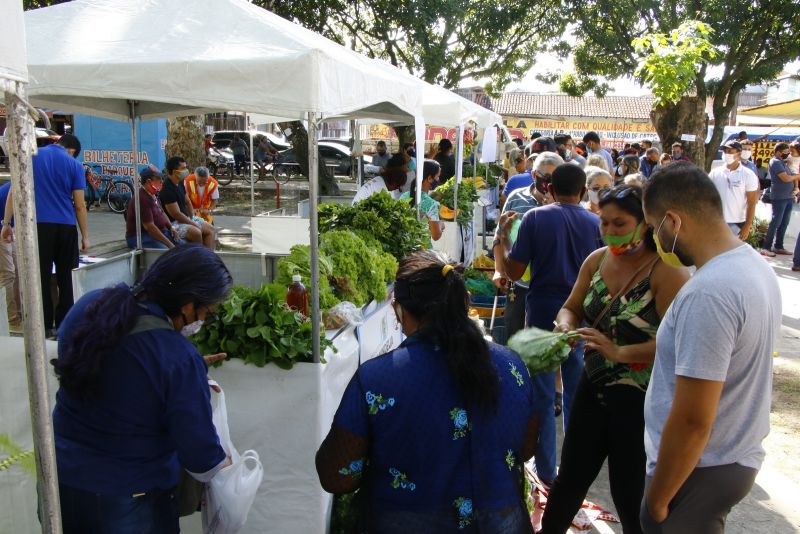 Visita a Feira do Agricultor Familiar na Praça da Cidade Nova VIII