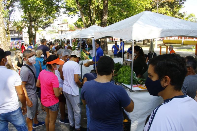 Visita a Feira do Agricultor Familiar na Praça da Cidade Nova VIII