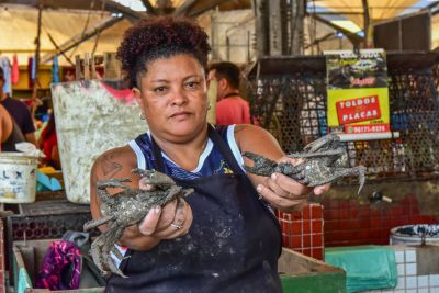 notícia: No mês de março, Sedec lança programa voltado para mulheres