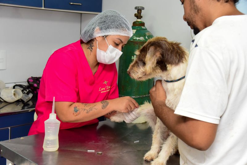 Ação do Castramovél no Programa Pet Amigo no bairro Centro