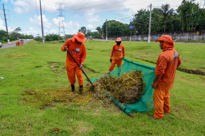 Imagens da limpeza do canteiro da avenida Independência