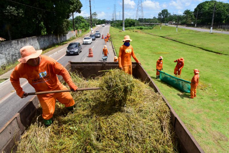 Imagens da limpeza do canteiro da avenida Independência