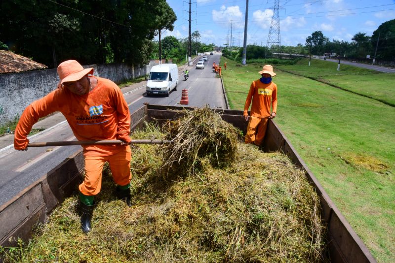 Imagens da limpeza do canteiro da avenida Independência