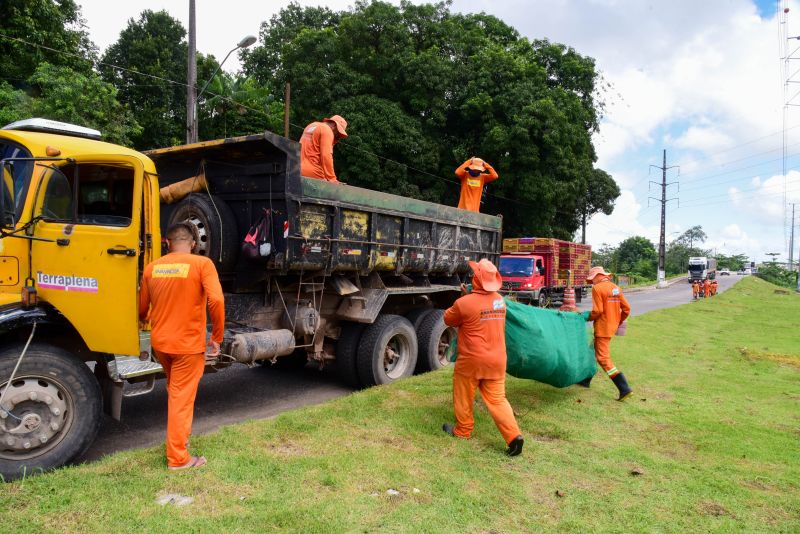 Imagens da limpeza do canteiro da avenida Independência