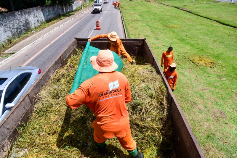 Imagens da limpeza do canteiro da avenida Independência