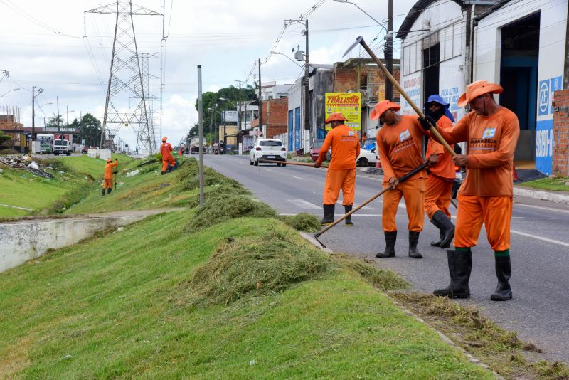 Imagens da limpeza do canteiro da avenida Independência