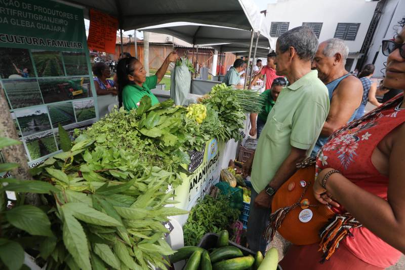 Feira de Agricultura Familiar