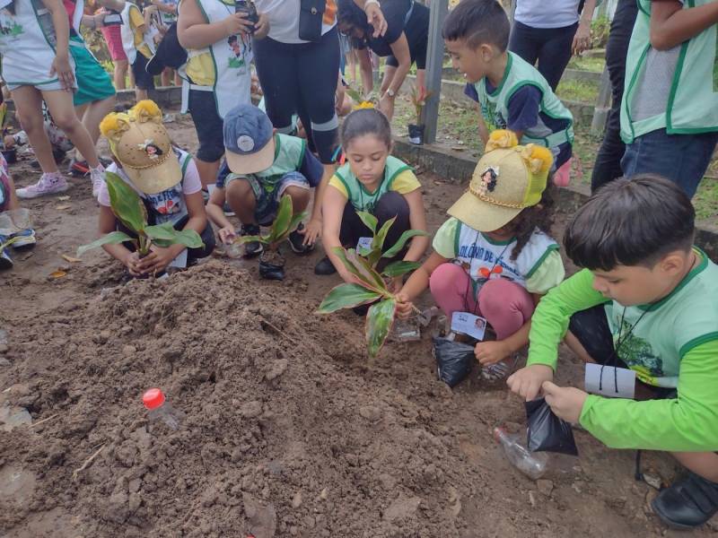 Plantio de mudas nativas. 