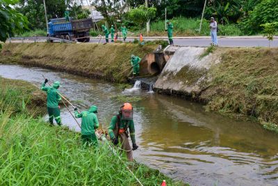 galeria: Limpeza do canal do Maguariaçu no bairro Maguari