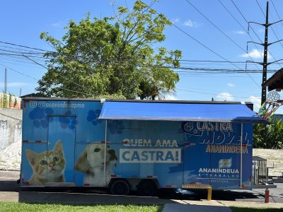 notícia: Castramóvel Ananindeua chega ao bairro do Coqueiro para castrações gratuitas