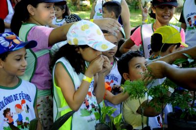 notícia: Colônia de Férias: Aprendizado, diversão e contato com a natureza