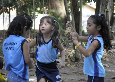 notícia: Dia da Árvore é celebrado com atividades no Bosque Marajoara