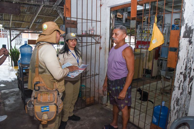 Agentes no combate a dengue