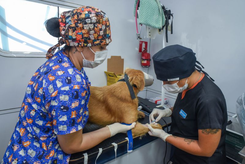 Castramóvel na Paróquia Transfiguração na estrada do Curuçambá