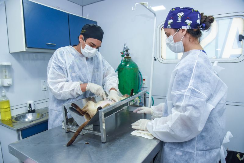 Castramóvel na Paróquia Transfiguração na estrada do Curuçambá