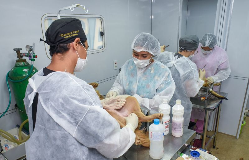 Castramóvel na Paróquia Transfiguração na estrada do Curuçambá