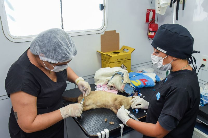 Castramóvel na Paróquia Transfiguração na estrada do Curuçambá