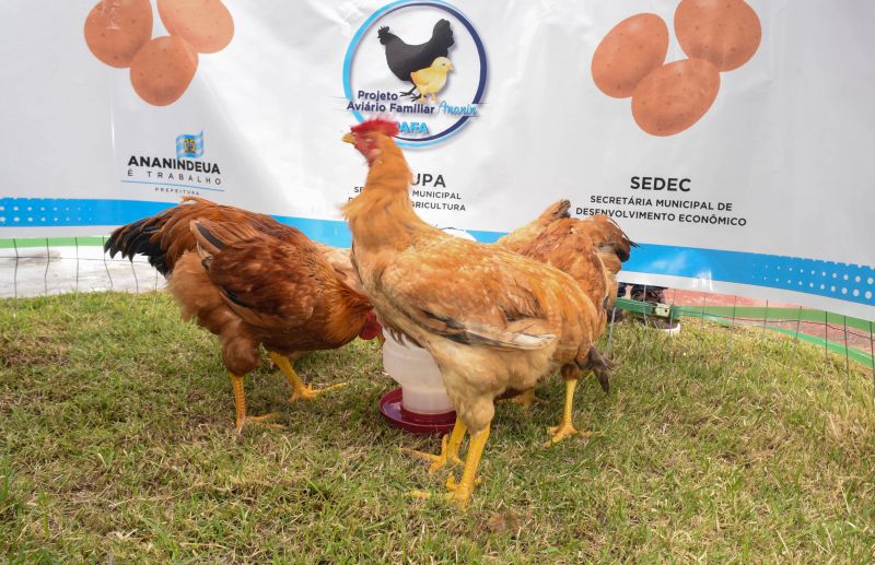 18° Edição do Programa Prefeitura em Movimento no bairro de Águas Lindas
