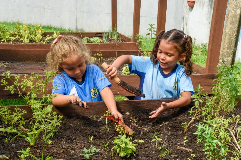 Projeto Sustentáveis no UEI Paulo Fernandes no conjunto Geraldo Palmeiras