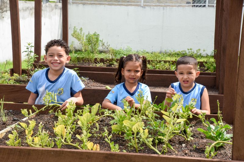 Projeto Sustentáveis no UEI Paulo Fernandes no conjunto Geraldo Palmeiras