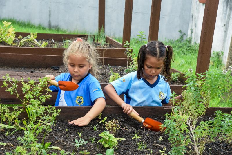 Projeto Sustentáveis no UEI Paulo Fernandes no conjunto Geraldo Palmeiras