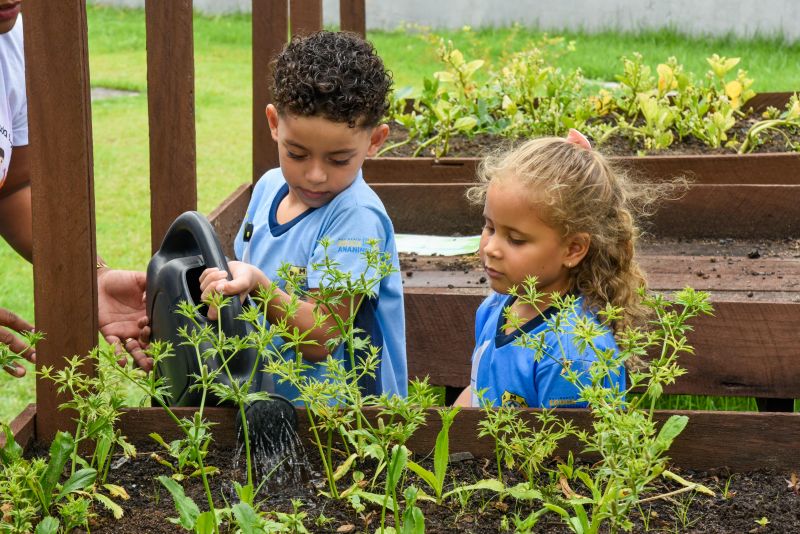 Projeto Sustentáveis no UEI Paulo Fernandes no conjunto Geraldo Palmeiras