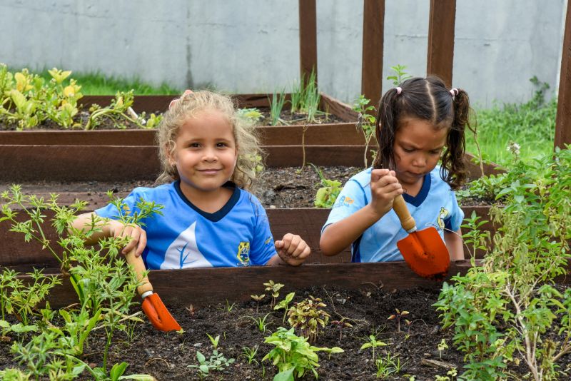 Projeto Sustentáveis no UEI Paulo Fernandes no conjunto Geraldo Palmeiras