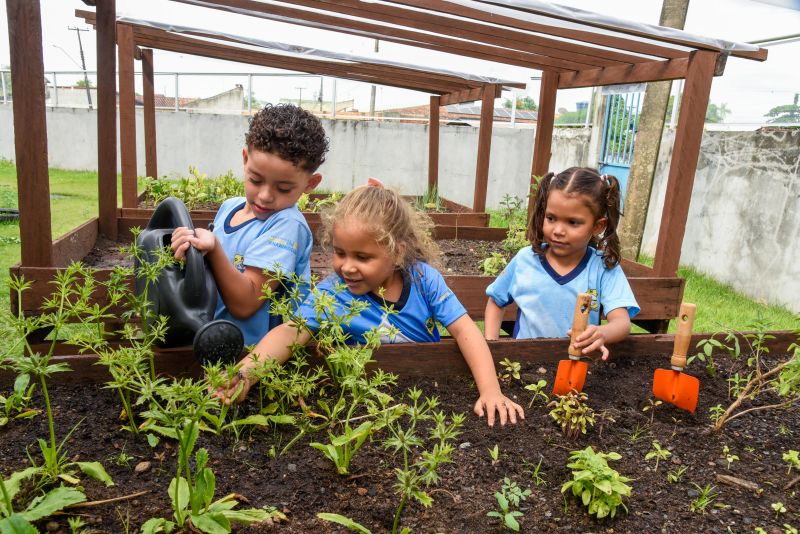 Projeto Sustentáveis no UEI Paulo Fernandes no conjunto Geraldo Palmeiras