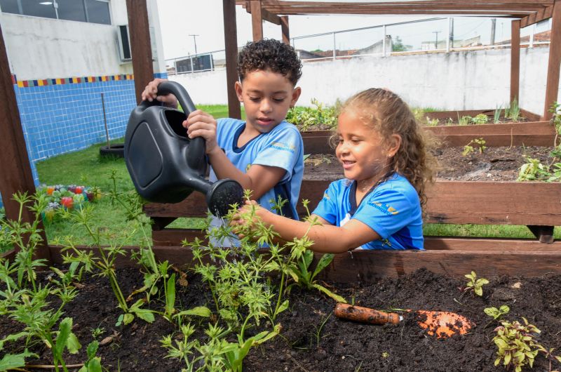 Projeto Sustentáveis no UEI Paulo Fernandes no conjunto Geraldo Palmeiras