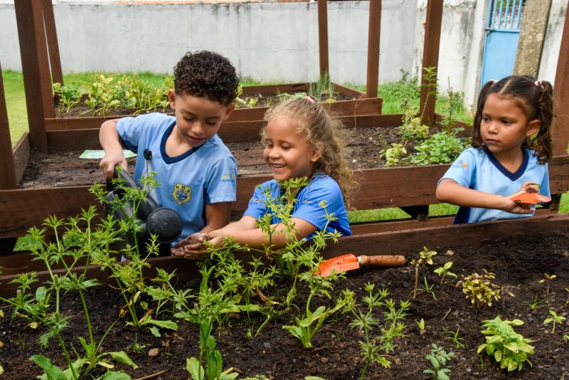 Projeto Sustentáveis no UEI Paulo Fernandes no conjunto Geraldo Palmeiras