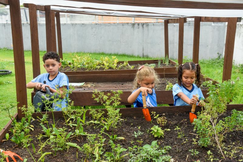 Projeto Sustentáveis no UEI Paulo Fernandes no conjunto Geraldo Palmeiras
