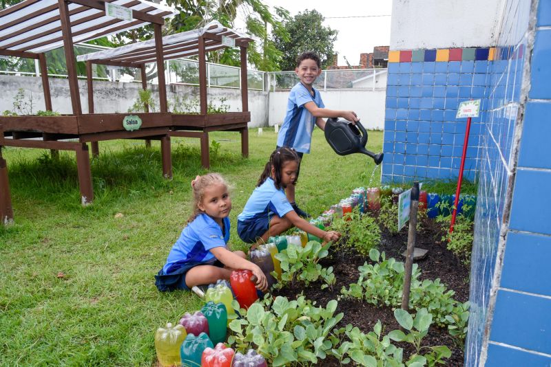 Projeto Sustentáveis no UEI Paulo Fernandes no conjunto Geraldo Palmeiras