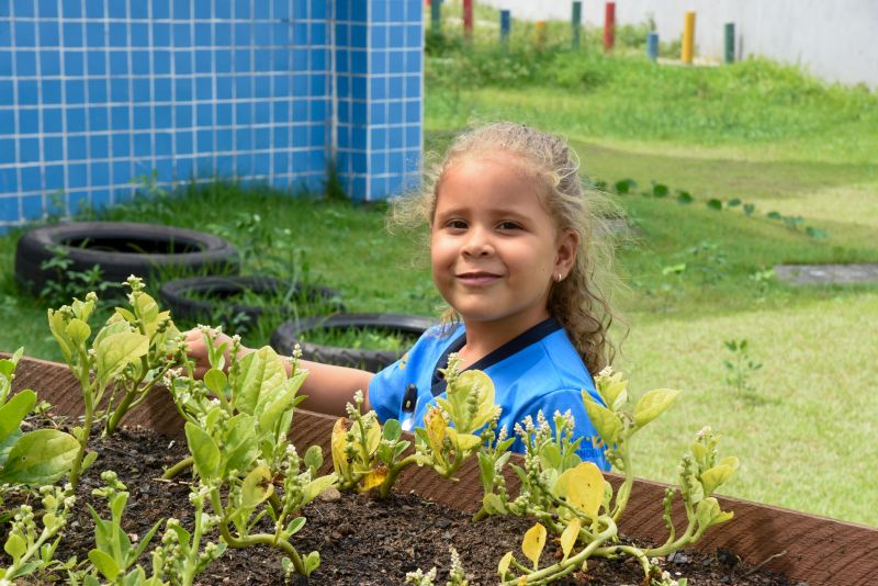 Projeto Sustentáveis no UEI Paulo Fernandes no conjunto Geraldo Palmeiras