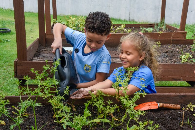 Projeto Sustentáveis no UEI Paulo Fernandes no conjunto Geraldo Palmeiras