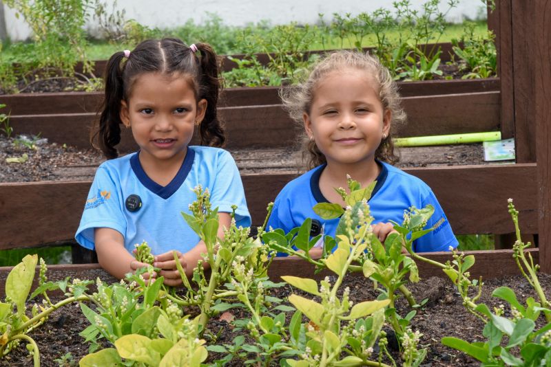 Projeto Sustentáveis no UEI Paulo Fernandes no conjunto Geraldo Palmeiras