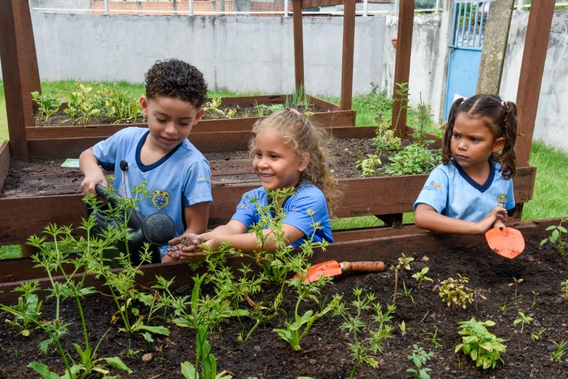 Projeto Sustentáveis no UEI Paulo Fernandes no conjunto Geraldo Palmeiras