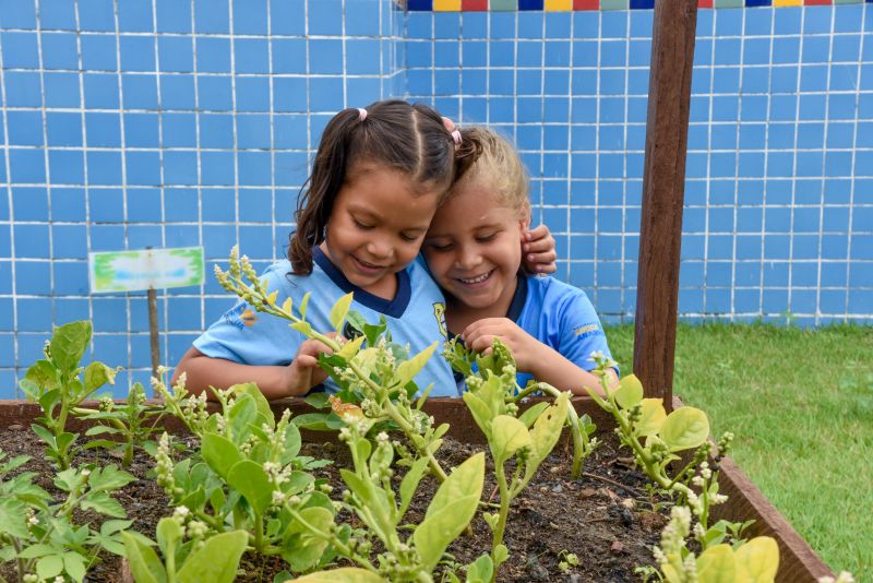 Projeto Sustentáveis no UEI Paulo Fernandes no conjunto Geraldo Palmeiras