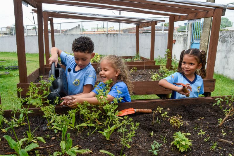 Projeto Sustentáveis no UEI Paulo Fernandes no conjunto Geraldo Palmeiras