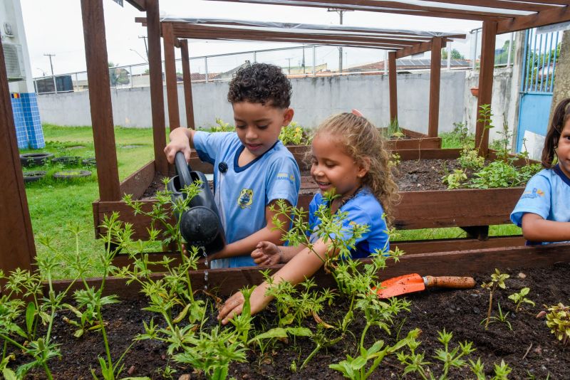 Projeto Sustentáveis no UEI Paulo Fernandes no conjunto Geraldo Palmeiras