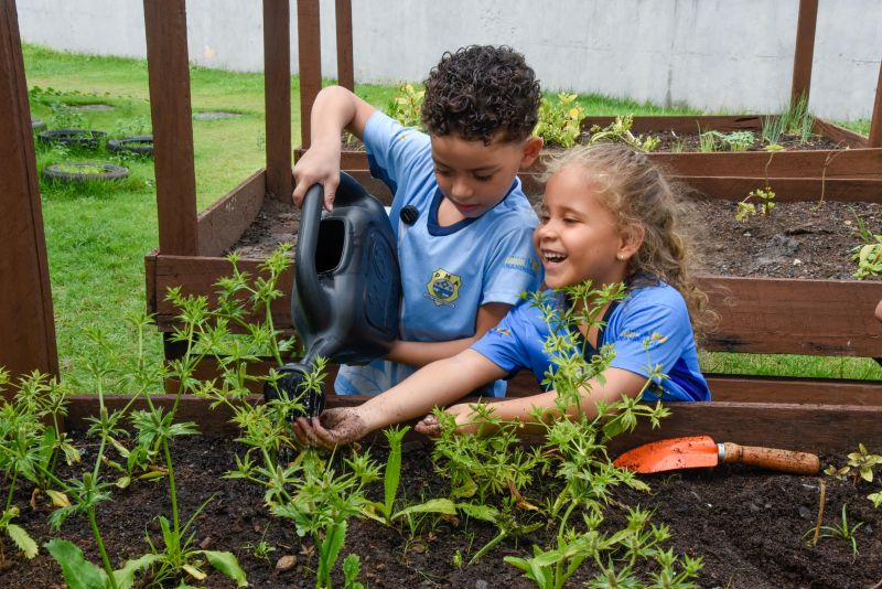 Projeto Sustentáveis no UEI Paulo Fernandes no conjunto Geraldo Palmeiras
