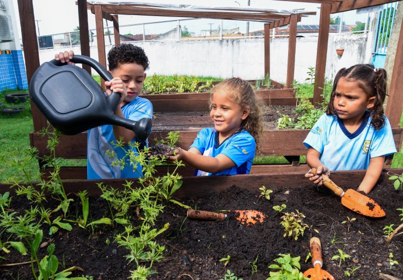 Projeto Sustentáveis no UEI Paulo Fernandes no conjunto Geraldo Palmeiras