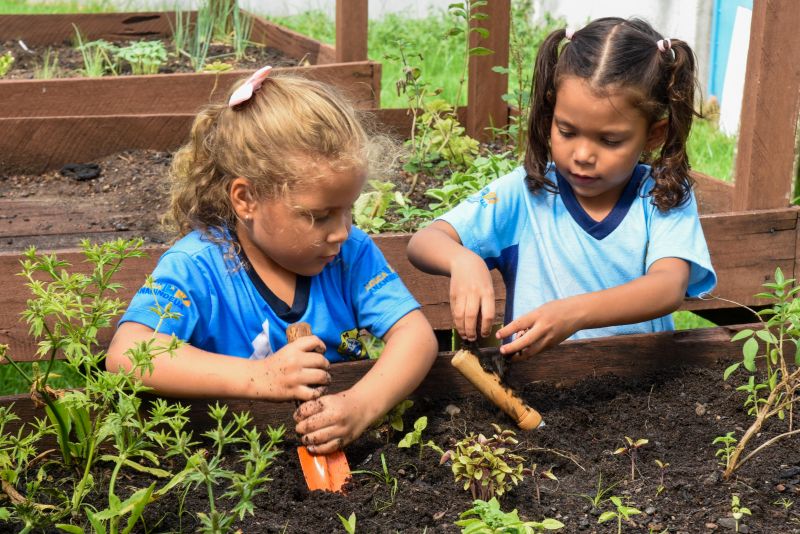 Projeto Sustentáveis no UEI Paulo Fernandes no conjunto Geraldo Palmeiras