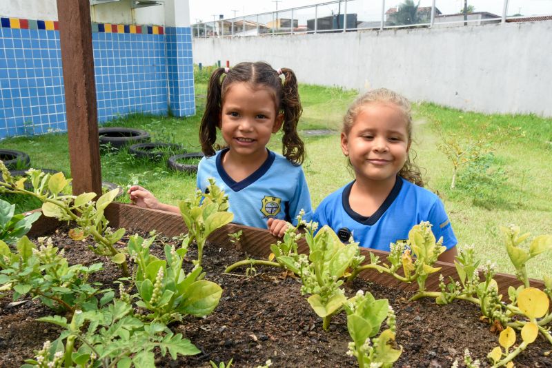 Projeto Sustentáveis no UEI Paulo Fernandes no conjunto Geraldo Palmeiras
