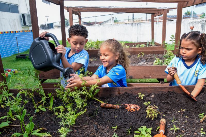 Projeto Sustentáveis no UEI Paulo Fernandes no conjunto Geraldo Palmeiras